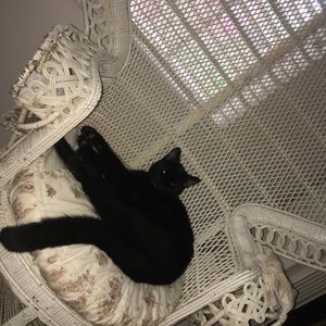 Meet your Posher, Ben